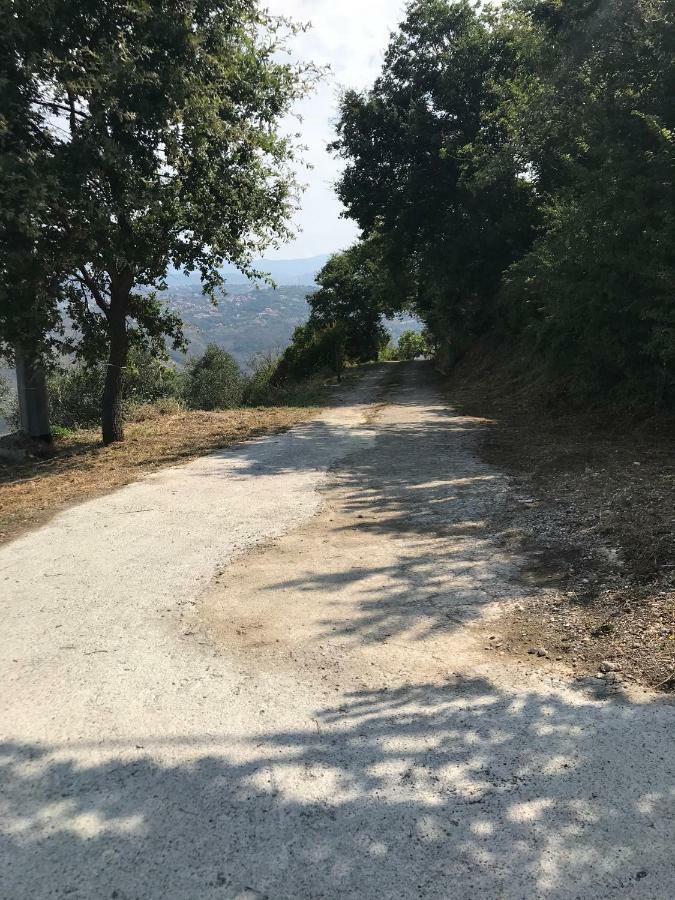 Al Casale Dei Nonni Panzió Laureana Cilento Kültér fotó